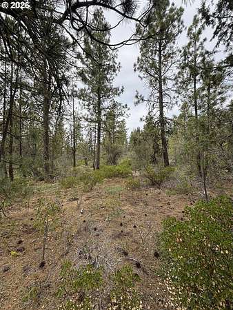 2 Acres of Residential Land for Sale in Bonanza, Oregon