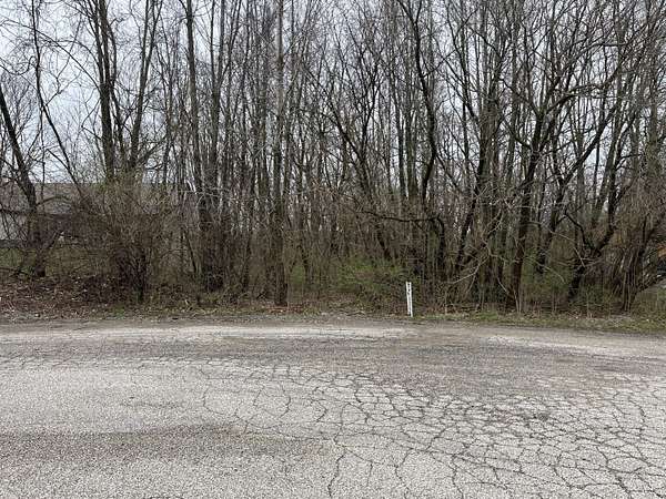 1 Acre of Residential Land for Sale in Cassopolis, Michigan