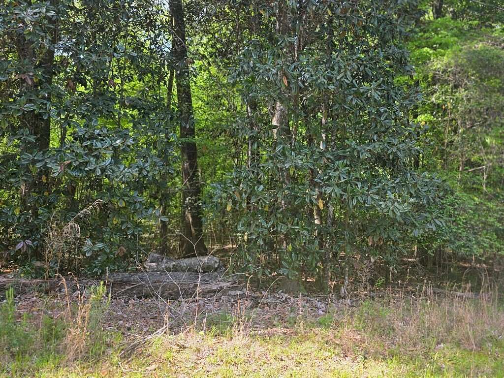 0.58 Acres of Residential Land for Sale in Georgetown, Georgia
