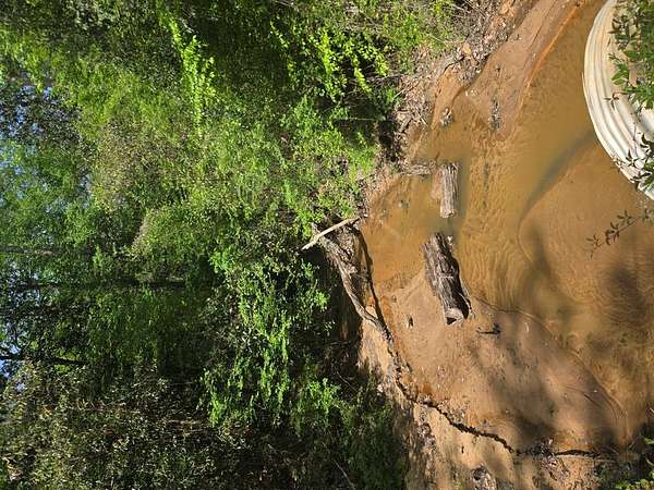0.58 Acres of Residential Land for Sale in Georgetown, Georgia
