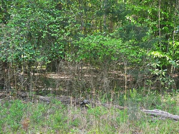 0.46 Acres of Residential Land for Sale in Georgetown, Georgia