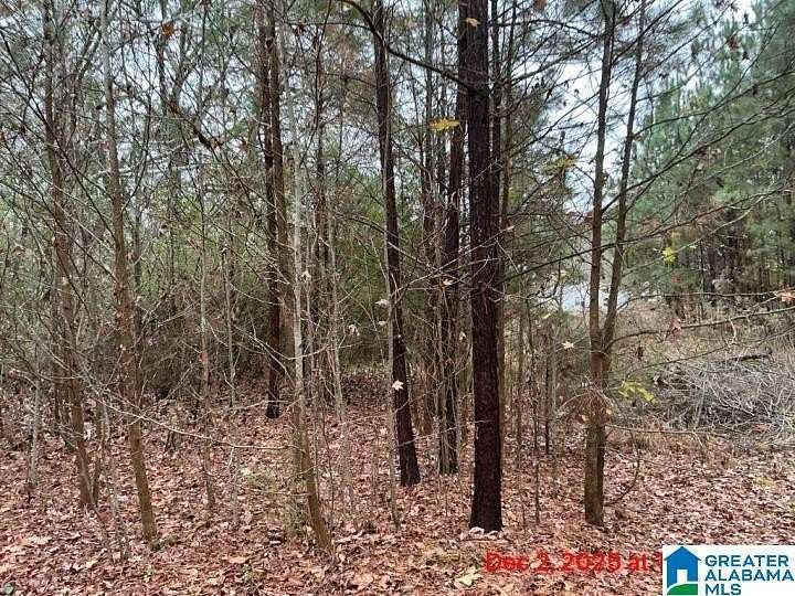 1.13 Acres of Residential Land for Sale in Indian Springs Village, Alabama