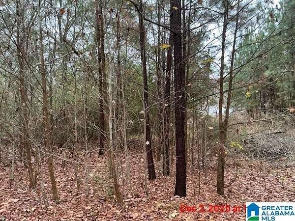 1.13 Acres of Residential Land for Sale in Indian Springs Village, Alabama