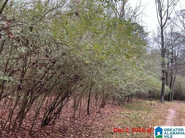 3.22 Acres of Residential Land for Sale in Indian Springs Village, Alabama