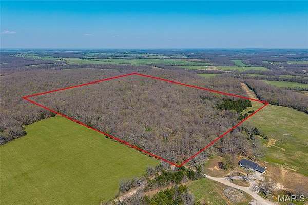 40 Acres of Land for Sale in Lebanon, Missouri