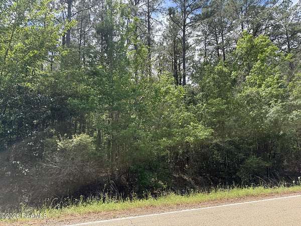26 Acres of Land for Sale in Oakdale, Louisiana