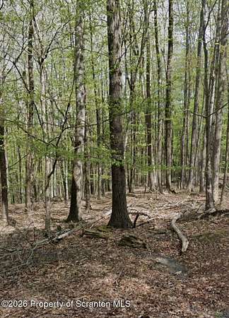 0.55 Acres of Residential Land for Sale in Hawley, Pennsylvania