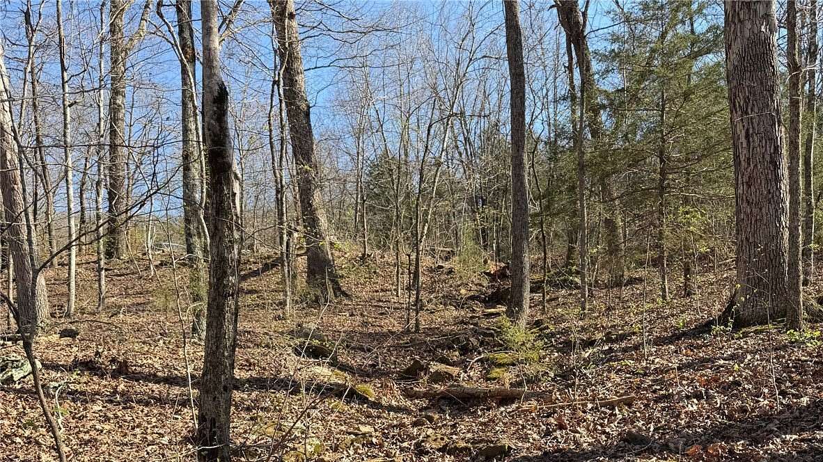 36 Acres of Land for Sale in Crosses, Arkansas