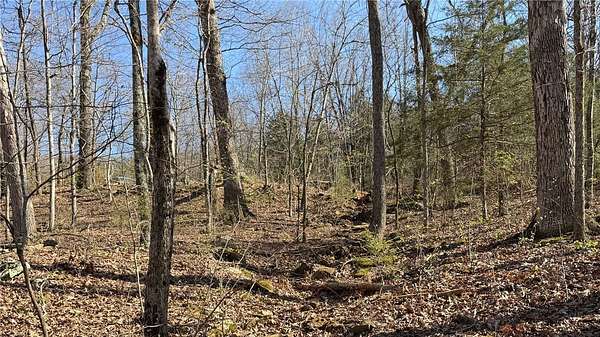 36 Acres of Land for Sale in Crosses, Arkansas