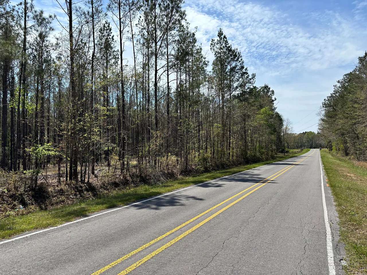 19.5 Acres of Recreational & Residential Land for Sale in Shubuta, Mississippi