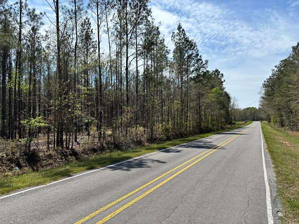 19.5 Acres of Recreational & Residential Land for Sale in Shubuta, Mississippi