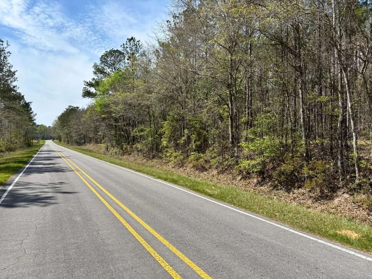 16.2 Acres of Recreational & Residential Land for Sale in Shubuta, Mississippi