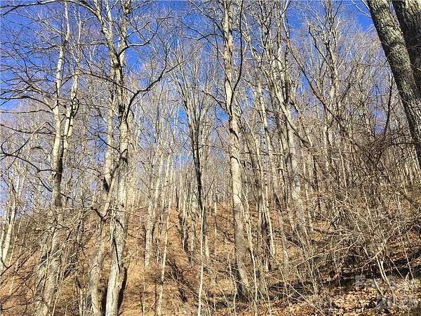 3 Acres of Residential Land for Sale in Fairview, North Carolina