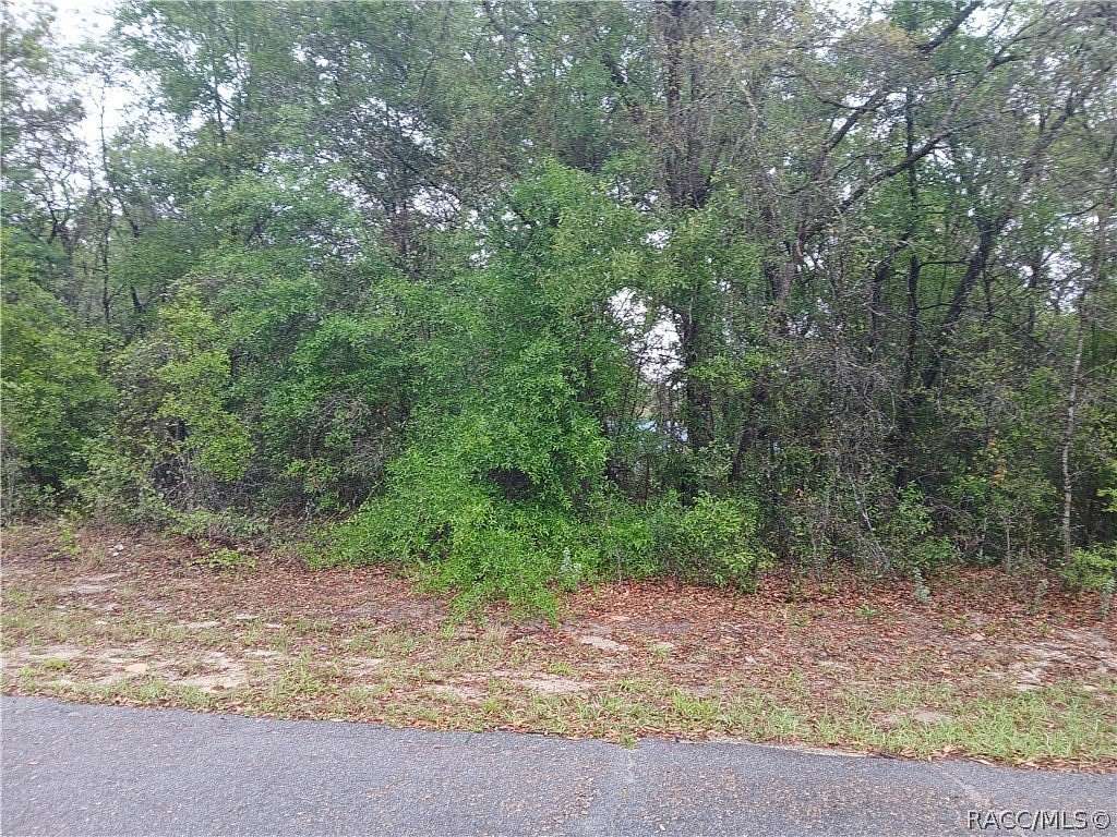 0.23 Acres of Land for Sale in Dunnellon, Florida