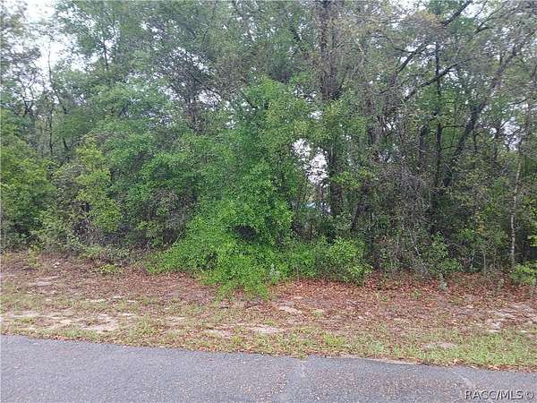 0.23 Acres of Land for Sale in Dunnellon, Florida