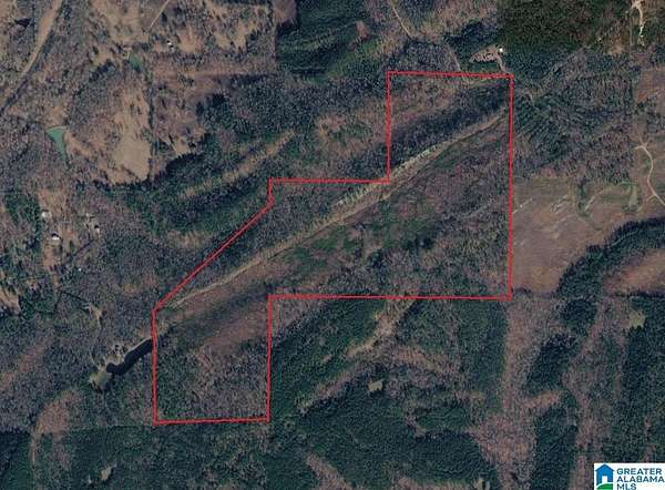 171 Acres of Recreational & Residential Land for Sale in Odenville, Alabama