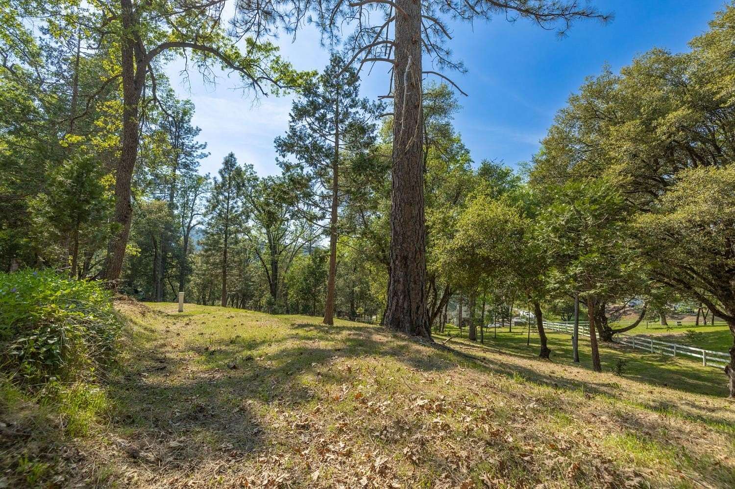 0.98 Acres of Residential Land for Sale in Oakhurst, California