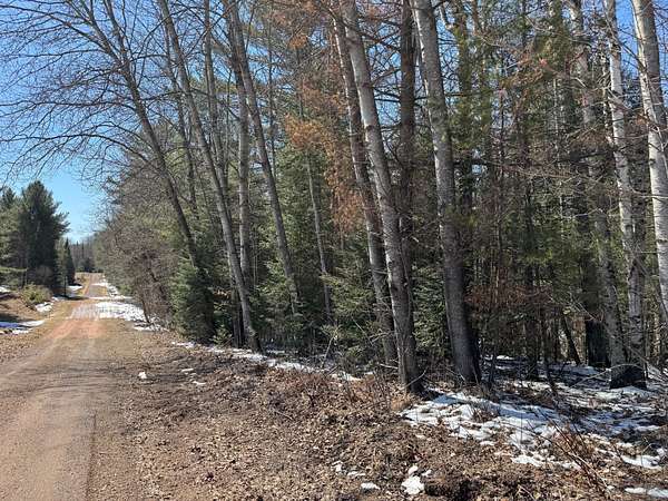 39.5 Acres of Recreational Land for Sale in Irma, Wisconsin