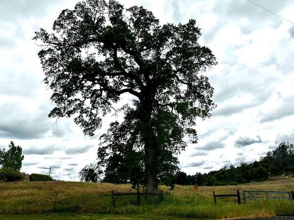 2.53 Acres of Residential Land for Sale in Coarsegold, California