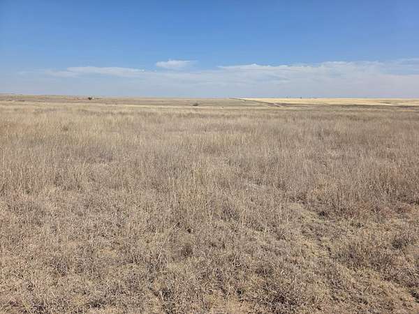 627 Acres of Agricultural Land for Sale in Perryton, Texas