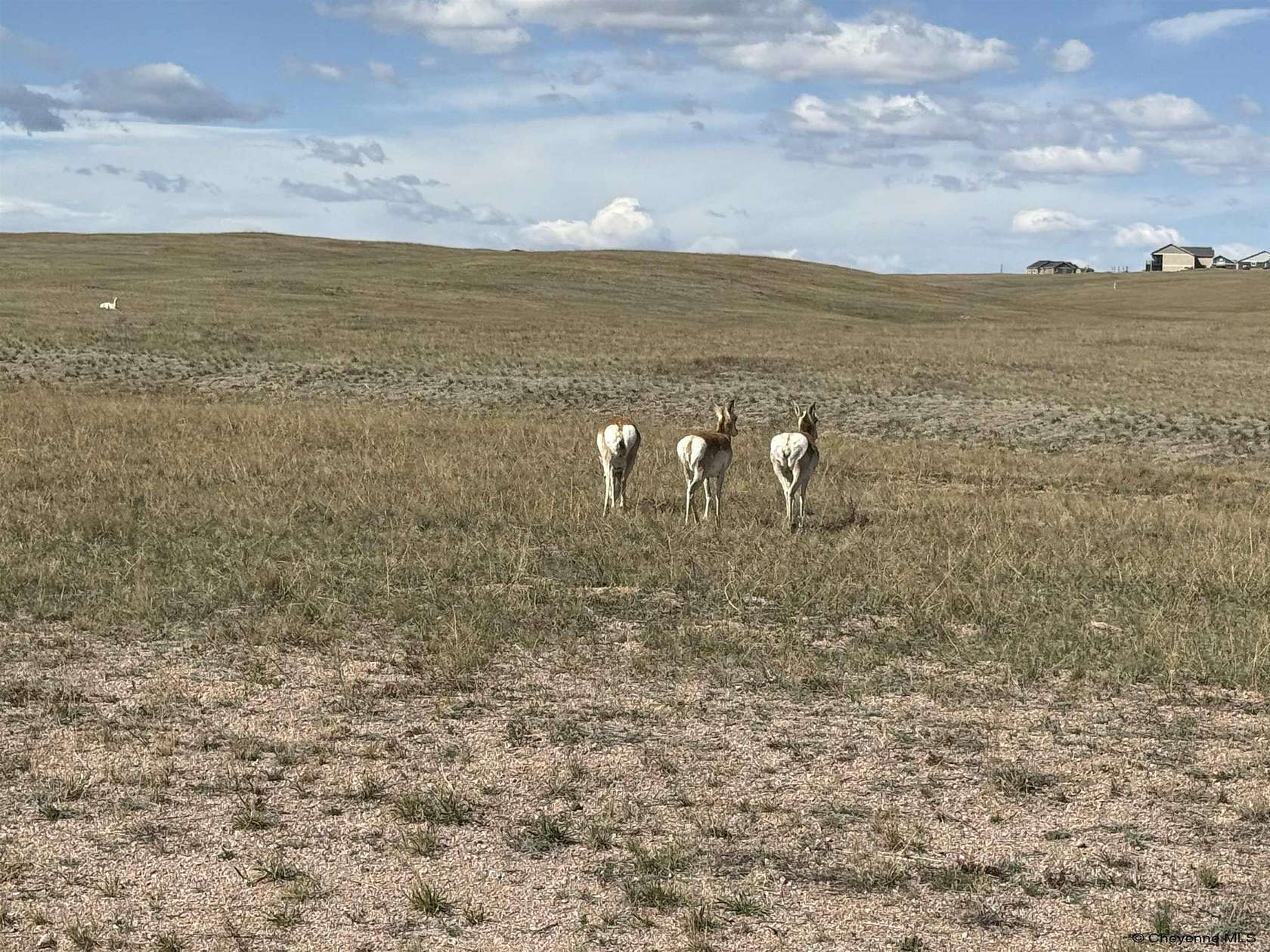 6.67 Acres of Residential Land for Sale in Cheyenne, Wyoming