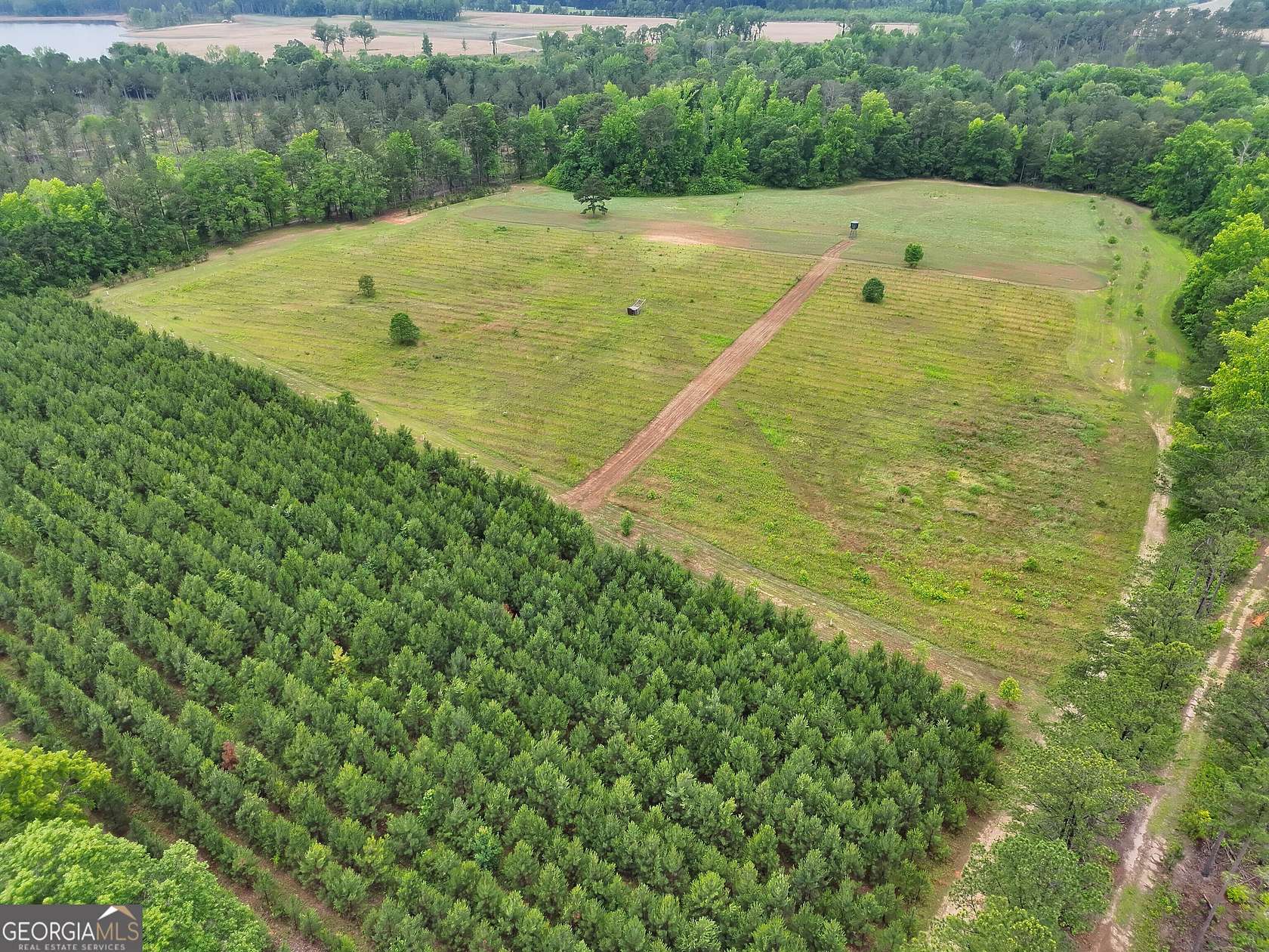 53.7 Acres of Land for Sale in Senoia, Georgia