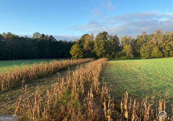 55 Acres of Land for Sale in Senoia, Georgia