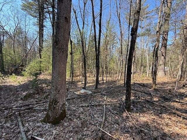 0.41 Acres of Land for Sale in Baldwin, Michigan