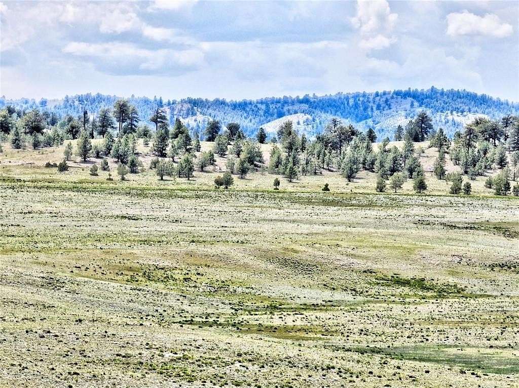 5.65 Acres of Residential Land for Sale in Hartsel, Colorado