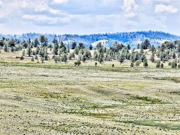 5.65 Acres of Residential Land for Sale in Hartsel, Colorado