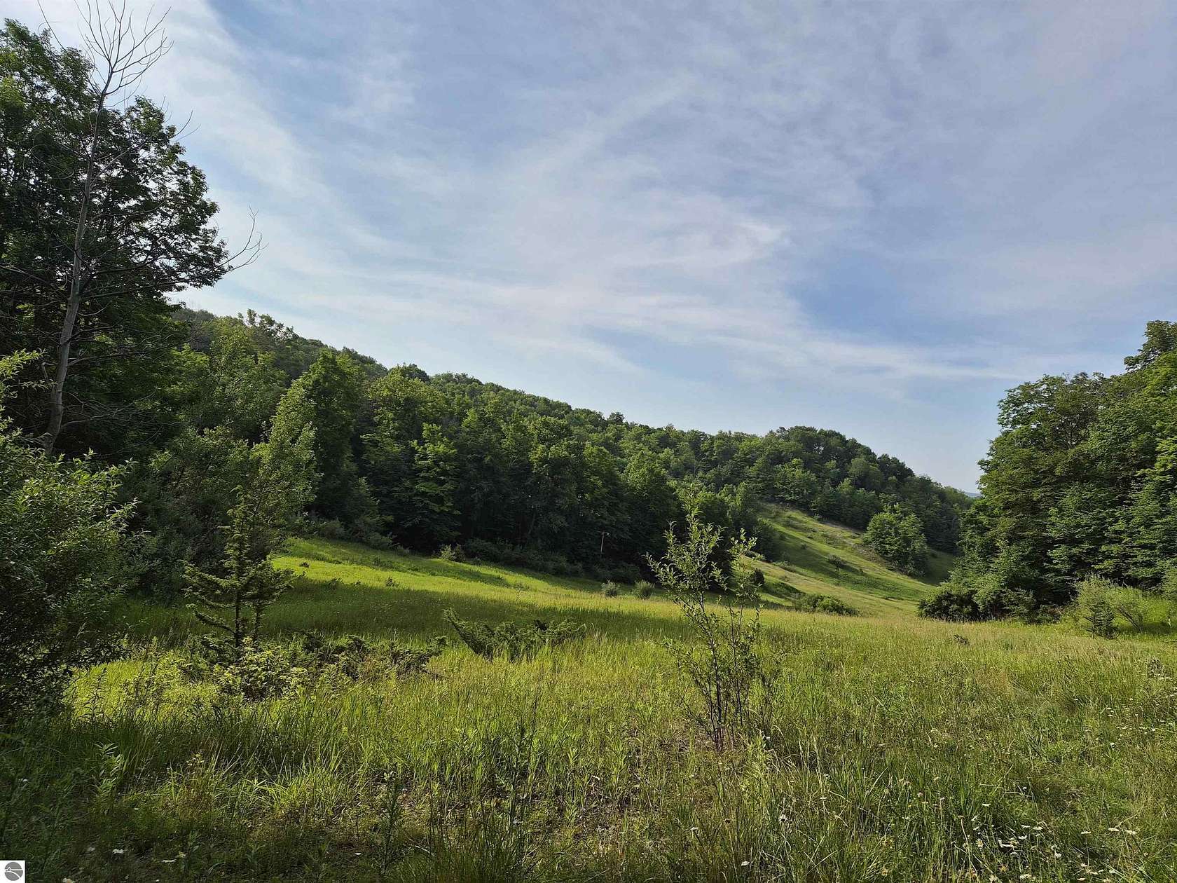 0.75 Acres of Residential Land for Sale in Bellaire, Michigan