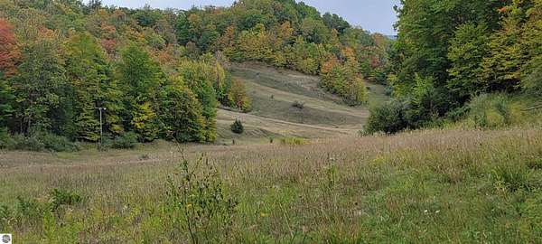 0.75 Acres of Residential Land for Sale in Bellaire, Michigan