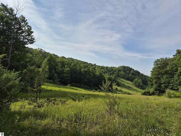 0.75 Acres of Residential Land for Sale in Bellaire, Michigan