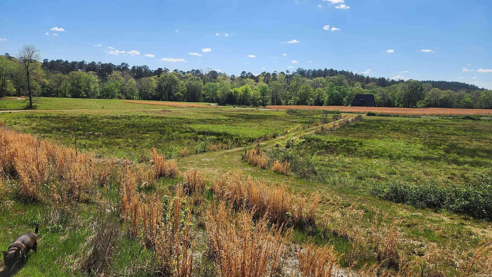 6.83 Acres of Residential Land for Sale in Story, Arkansas