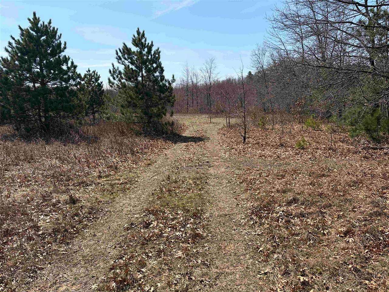 40 Acres of Recreational & Residential Land for Sale in Dellona Town, Wisconsin
