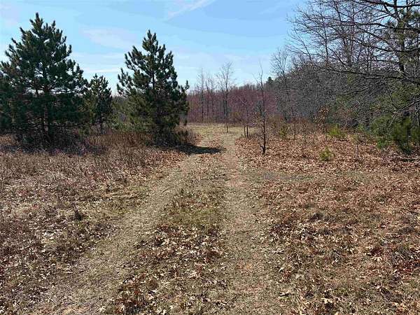 40 Acres of Recreational & Residential Land for Sale in Dellona Town, Wisconsin