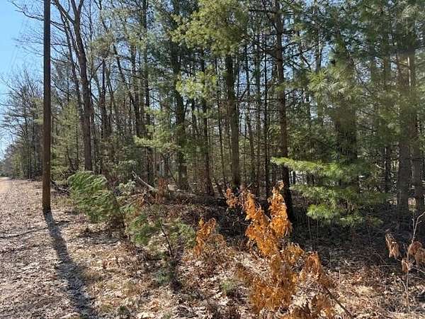 0.34 Acres of Land for Sale in Baldwin, Michigan
