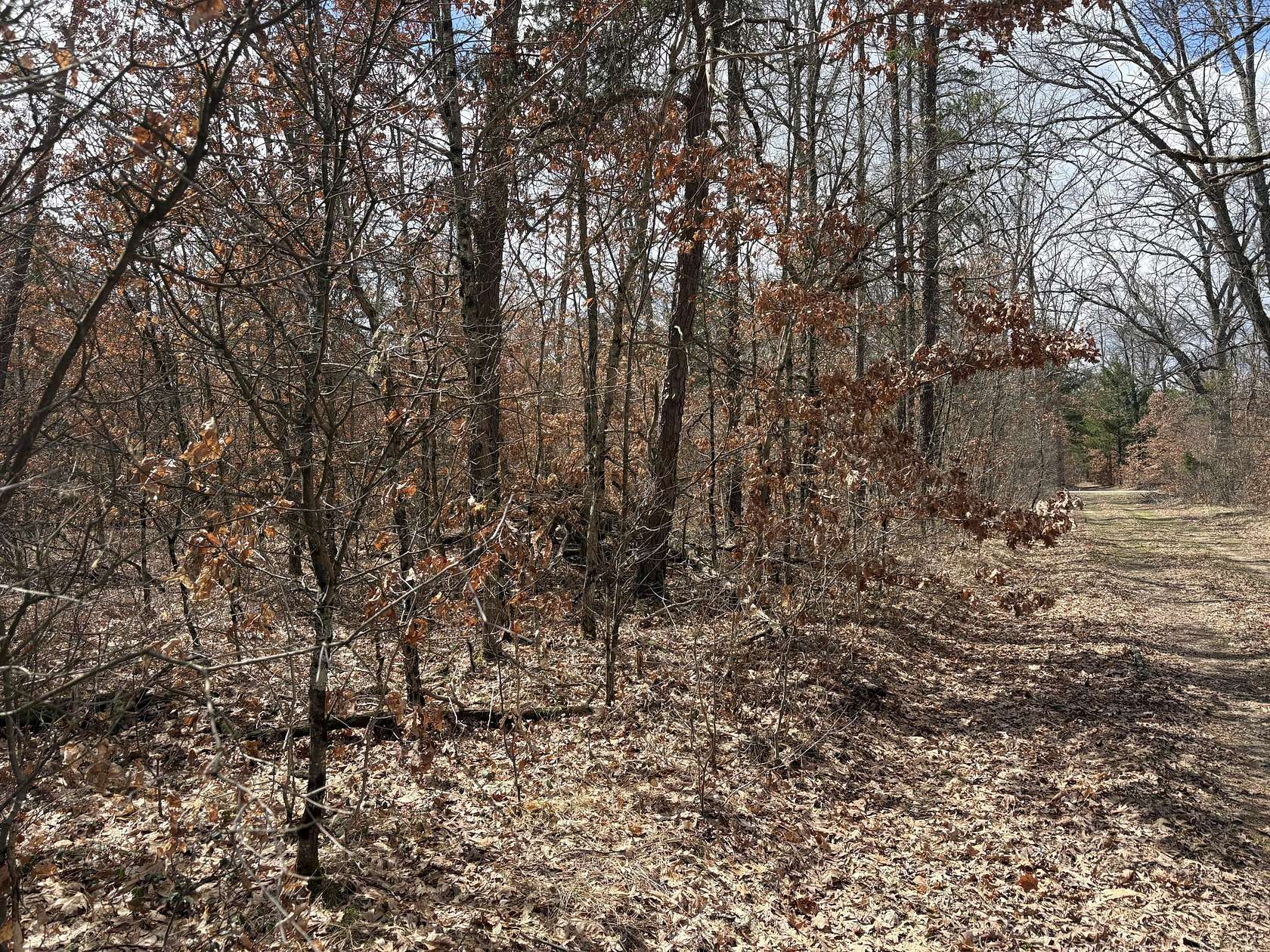 0.92 Acres of Land for Sale in Baldwin, Michigan