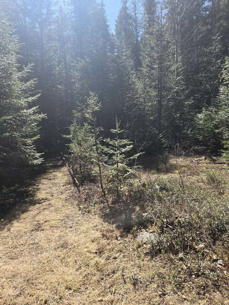 5 Acres of Land for Sale in Cusick, Washington