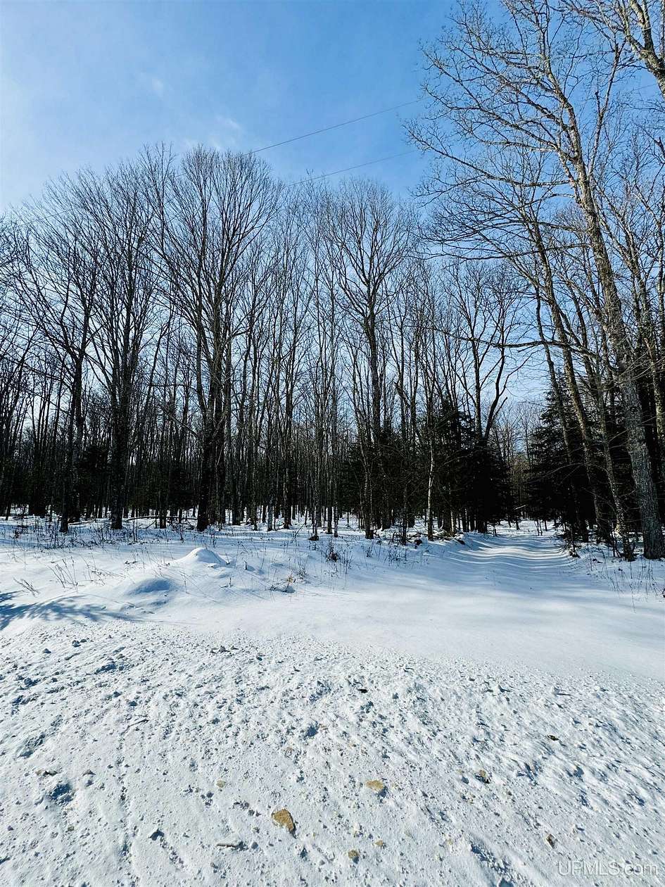 19 Acres of Recreational & Residential Land for Sale in Trenary, Michigan