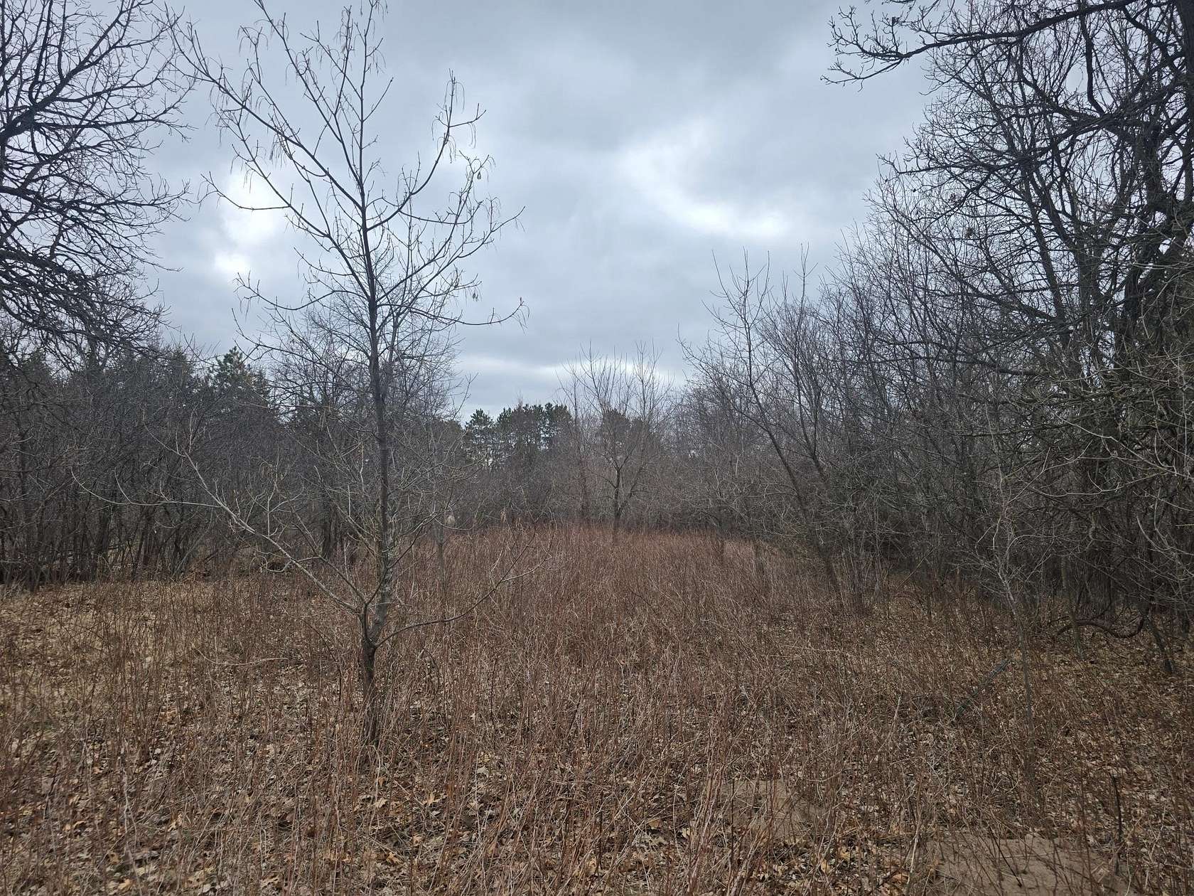 0.62 Acres of Land for Sale in Zimmerman, Minnesota