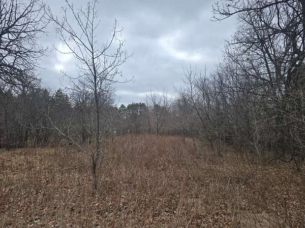 0.62 Acres of Land for Sale in Zimmerman, Minnesota