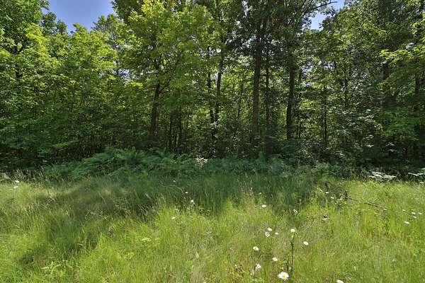 14.7 Acres of Recreational & Residential Land for Sale in Crosby, Minnesota
