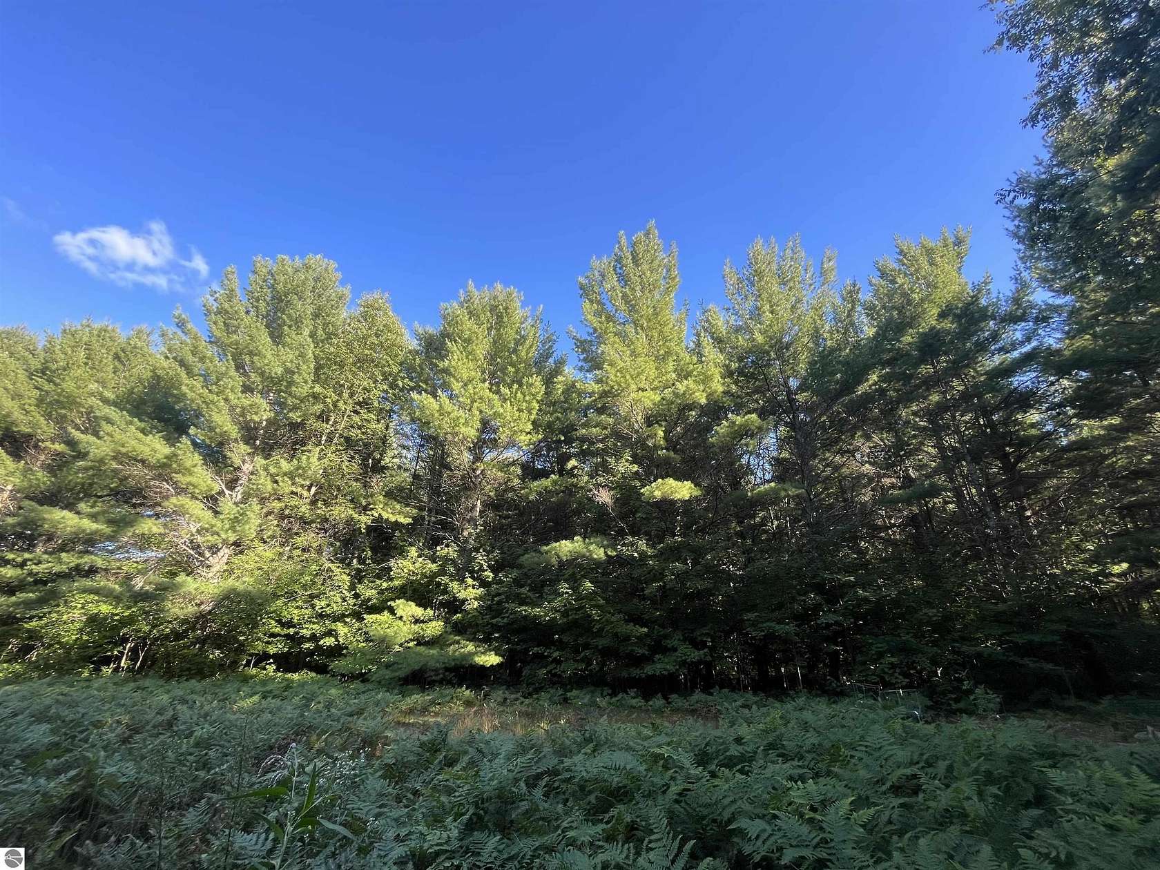 5 Acres of Recreational Land for Sale in Fife Lake, Michigan