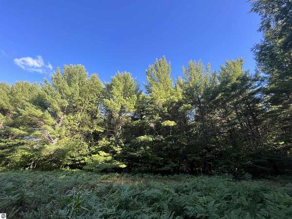 5 Acres of Recreational Land for Sale in Fife Lake, Michigan