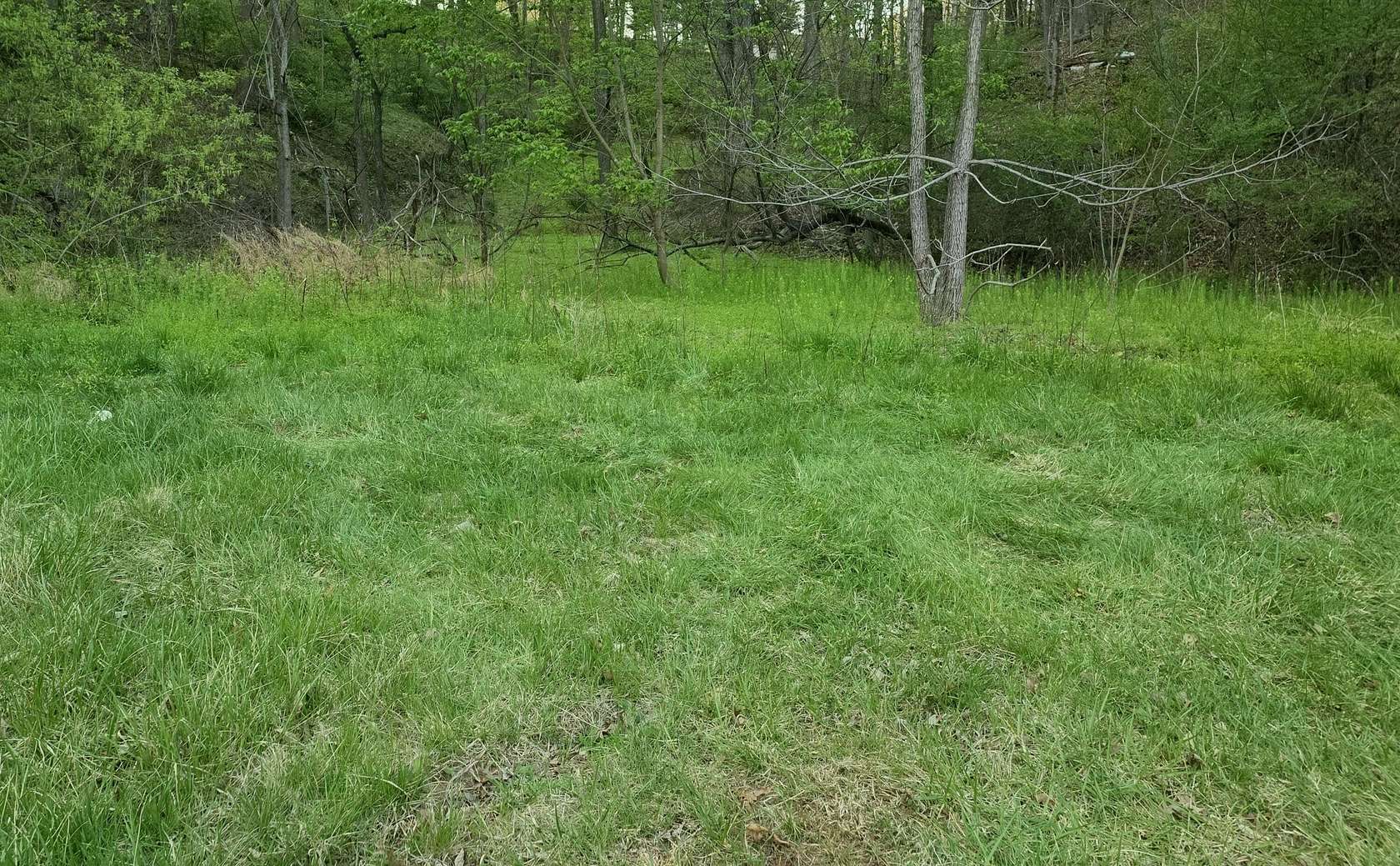 1 Acre of Residential Land for Sale in Boones Mill, Virginia