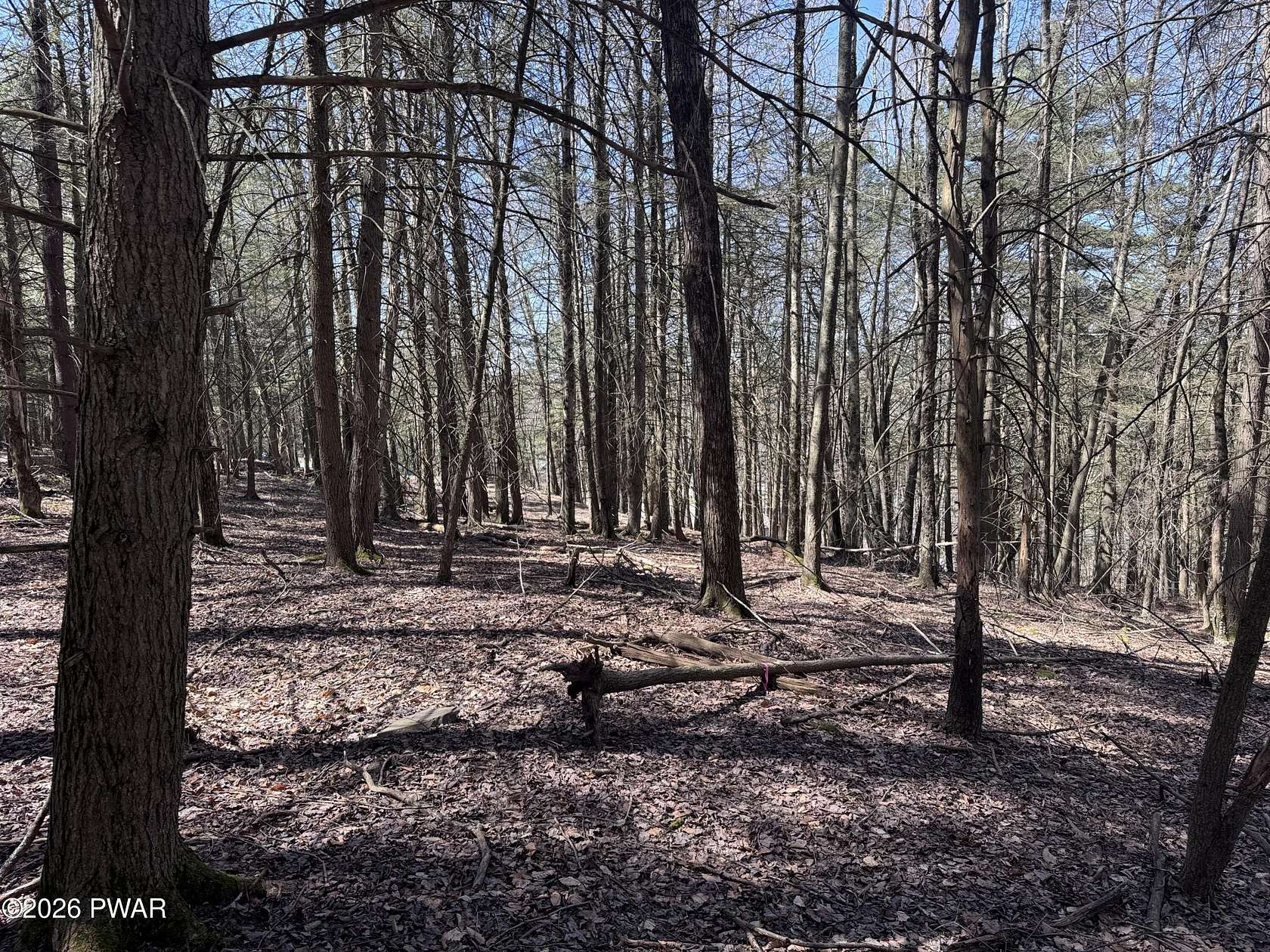 3.54 Acres of Residential Land for Sale in Beach Lake, Pennsylvania