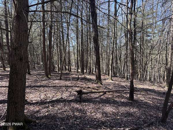 3.54 Acres of Residential Land for Sale in Beach Lake, Pennsylvania