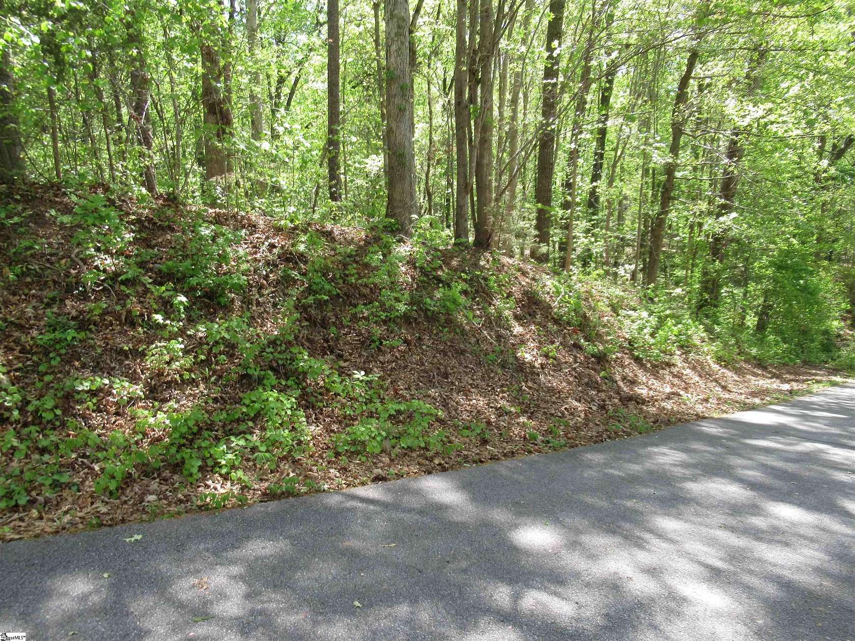 0.84 Acres of Land for Sale in Fair Play, South Carolina
