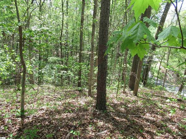 0.84 Acres of Residential Land for Sale in Fair Play, South Carolina